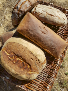 Livraison de pain : Commandez aujourd'hui ! (1/2)