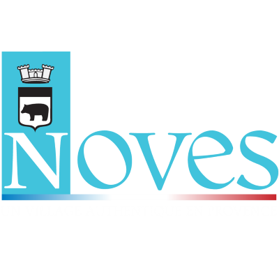 Logo Noves