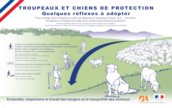 Cohabitation avec les chiens de protection des troupeaux. (1/1)