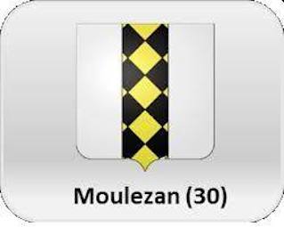 Logo Moulézan