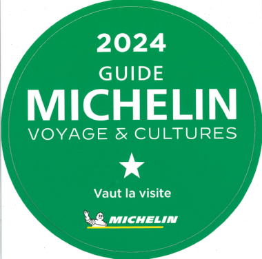 Macaron vert du guide Michelin 2024 (1/1)