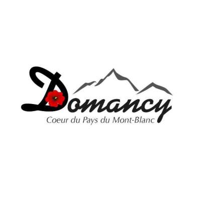 Logo Domancy